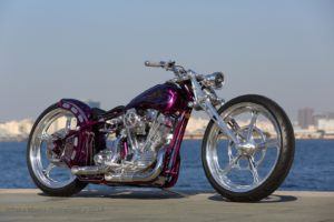 Kens Factory Shovelhead with Speed and Science top end