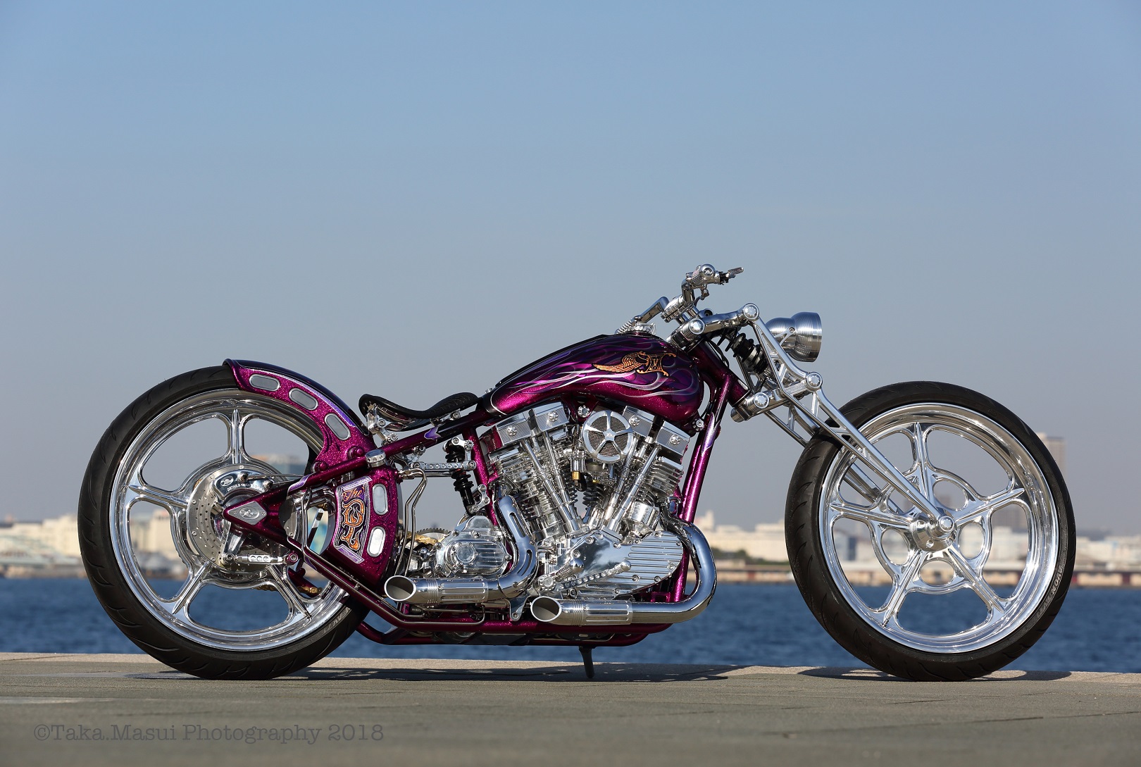 Kens Factory Shovelhead with Speed and Science top end